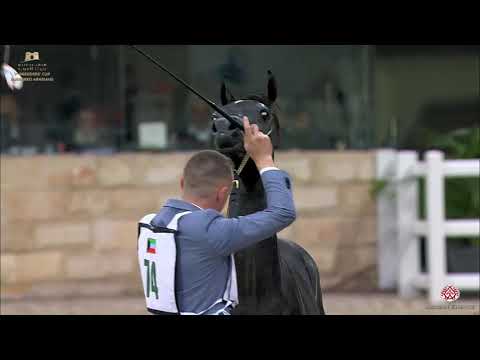 N 74 LK PHOENIX   The Breeders Cup   Kuwait 2020   Straight Egyptians   Yearling Colts Class 2A