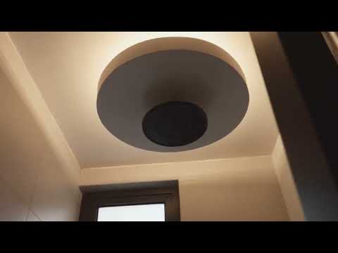 Avira Medini x Senses Studio