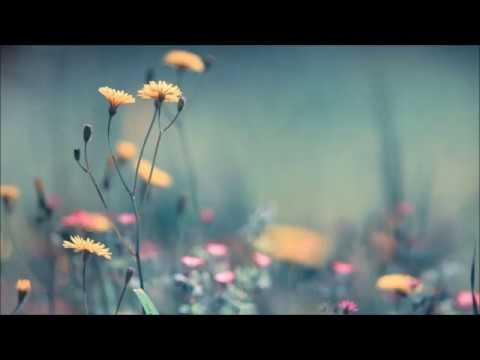 Jelly For The Babies ▲Deep Impact▲ #53 [Podcast][Proton Radio]