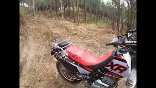 作業路凸凹ありすぎ！