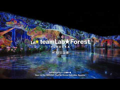 チームラボフォレスト 福岡 - SBI証券 / teamLab Forest Fukuoka - SBI SECURITIES Co., Ltd.