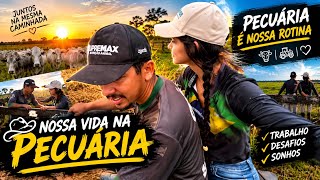 Rotina de um casal jovem que trabalha com pecuária 