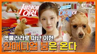 Download lagu Baby DONT Cry YIHYUN 'Certified Grandma Taste' | #Snap_Cuteness mp3 Download lagu Baby DONT Cry YIHYUN 'Certified Grandma Taste' | #Snap_Cuteness mp3