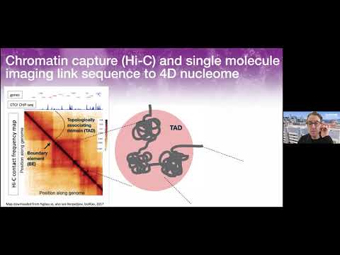 CCMB Seminar 02/17/2021- Katherine S. Pollard, PhD
