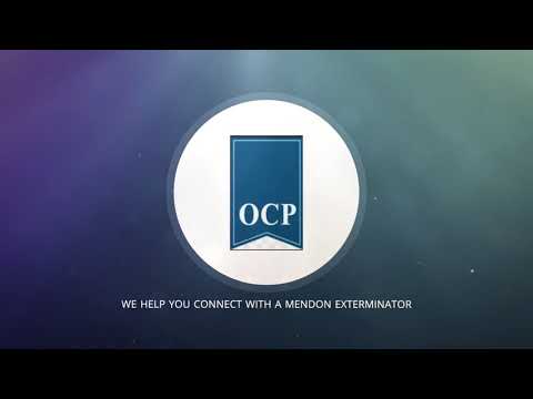 OCP - Certified Bed Bug Exterminator in Mendon MA