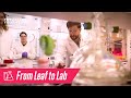 Photochemistry Gives The Green Light To Sustainable Chemical Synthesis Futureproof Your Planet