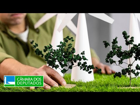 Meio Ambiente e Desenvolvimento Sustentável - Discussão e votação de propostas - 03/12/2025