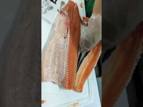 Cá Hồi Nguyên Con Size 6-7