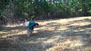 preview picture of video 'Longleaf Planting at Callaway Gardens with Garden & Gun Magazine January 2012.mp4'