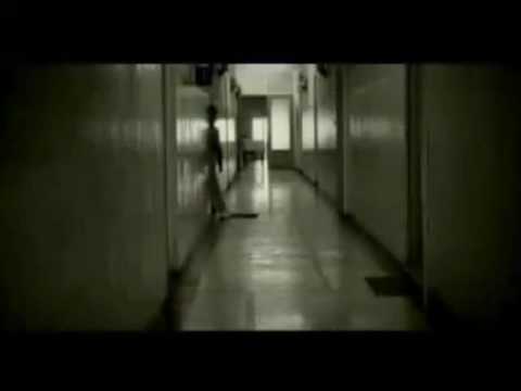 download lagu mp3 mp4 50music Net, download lagu 50music Net gratis, unduh video klip 50music Net
