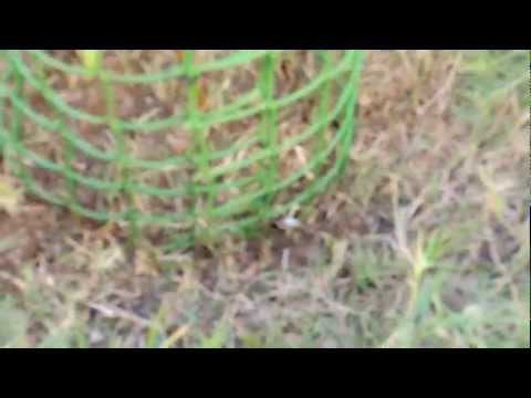 Barricade Net / Safety Fence