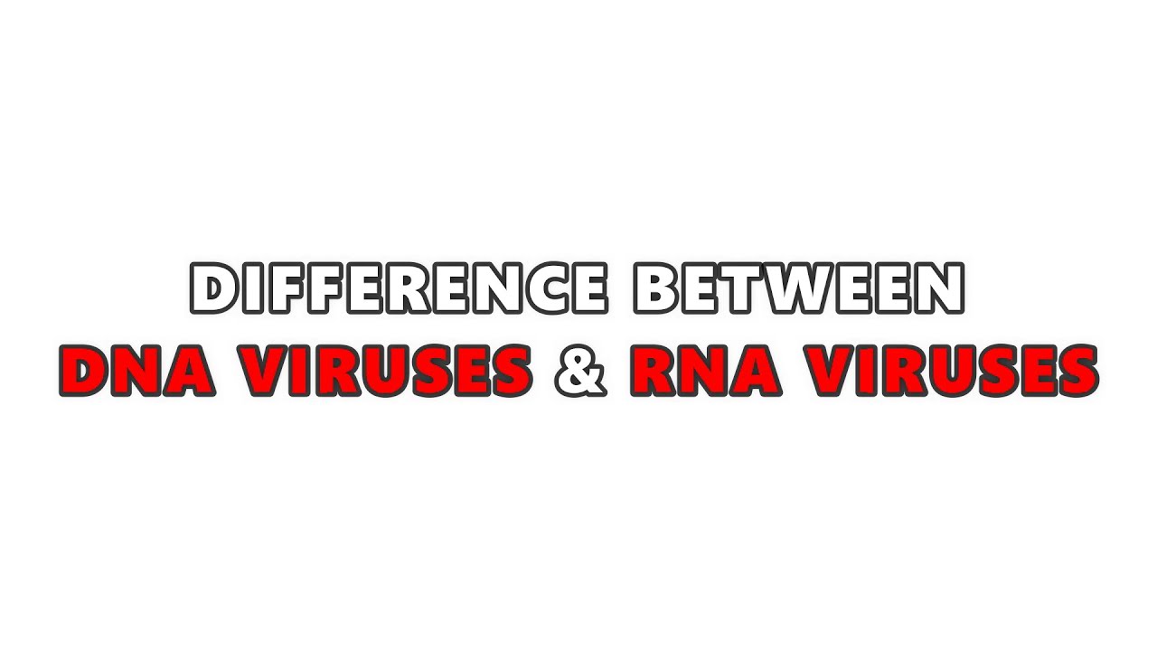 DNA Viruses Vs RNA Viruses