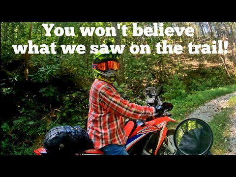 A ride on a 2020 Honda CRF250L Rally (You won't believe what we saw on the trail!)