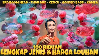 Download lagu UPDATE HARGA LOUHAN DAN JENIS LOUHAN SRD CENCU KAMFA F2 SRD THAILAND DAN LOHAN GOLDEN BASE TERMURAH mp3 Download lagu UPDATE HARGA LOUHAN DAN JENIS LOUHAN SRD CENCU KAMFA F2 SRD THAILAND DAN LOHAN GOLDEN BASE TERMURAH mp3