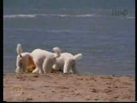 Neoton família- Emlékül