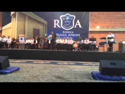 Hava Nagila - Emy Dragoi - Biserica Rugul Aprins Toflea