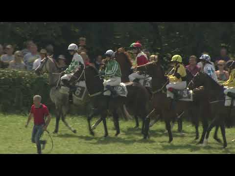 3. dostih - Cena města Netolic (III, 1200 m) - dostihy Netolice 16. 8. 2020