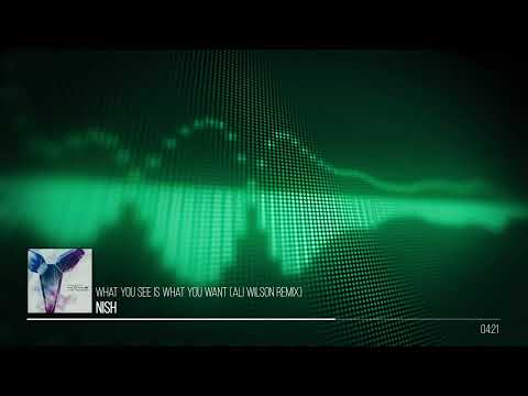 NISH - WHAT YOU SEE IS WHAT YOU WANT (ALI WILSON TEKELEC REMIX)