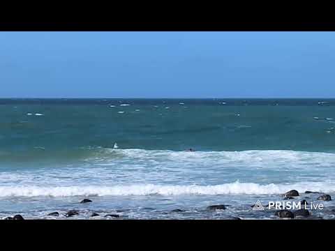 LIVE: 2026 Burleigh Single Fin Festival - Day 1 - Opens