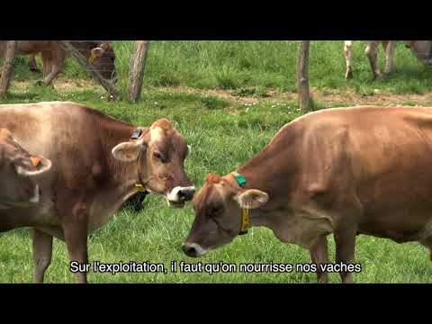 #LincetStory n°4 : Epoisses Lincet, rendez-vous en terre de Bourgogne