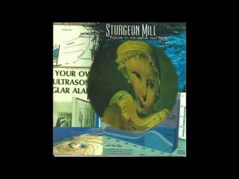 Sturgeon Mill - Ripples In The Upside Down Pond [Full Album]