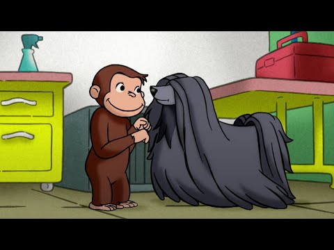 Nicke Nyfiken | Hundutställningen | Tecknad Film för Barn