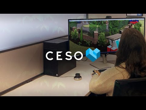 AMD and Dell Case Study; CESO Inc.