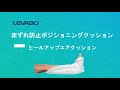 動画を再生