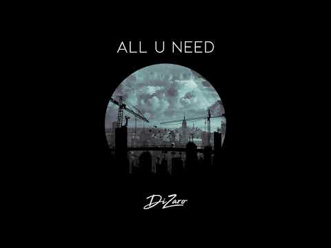 Dizaro - All U Need