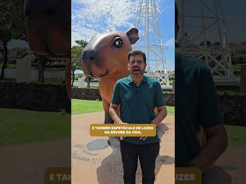 A mascote mais querida de Rio Preto está de volta! 🧡✨