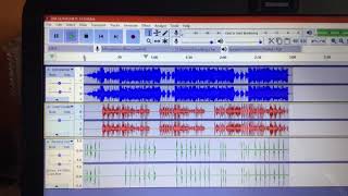 ayden - she so ratchet ft. Lil Debbie (song coming this summer)