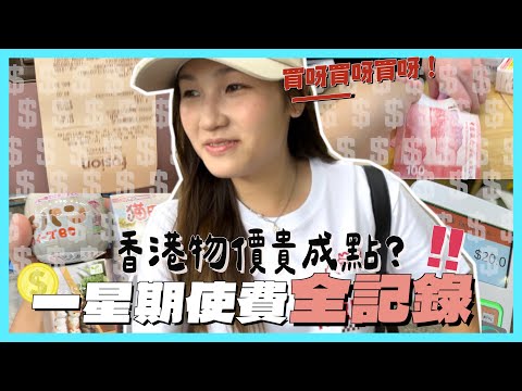 【一星期開支曝光！】零慳錢下 香港人生活日常會用幾多錢？ 香港物價有幾貴？|文迪mandic