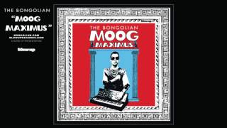 The Bongolian 'Moog Maximus' from Moog Maximus (Blow Up)