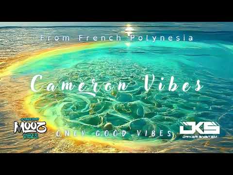 NOP FLY - KAVEKA TE MANU MIX BASS 2022.mp3 ( CAMERON VIBES )