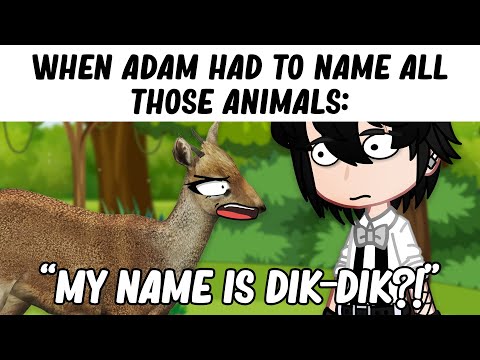 TikToks That Are Too Funny 😭