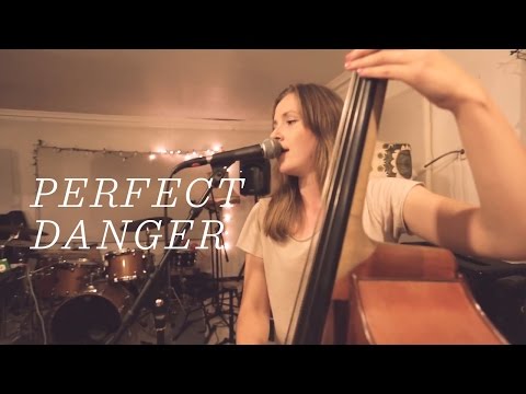 Ellen Andrea Wang - Perfect Danger