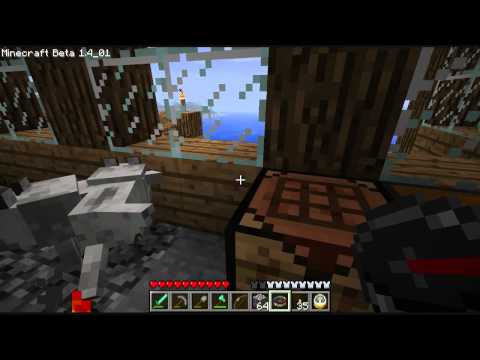 Minecraft Let's Play (Season 1) - Part 197: Bringing the wolves home