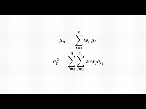 Markowitz Model for risk minimization in a financial portfolio