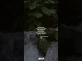 Ichchutha Ichchutha Madhan Tamilwhatsappstatus Lovesongs Instagramtrend Lovefeeling Feelings
