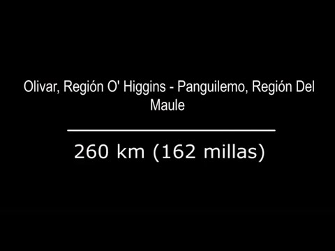 Olivar, O'Higgins - Panguilemo, Talca, Maule.