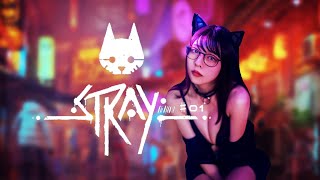 あまひら猫になります。STRAY#01