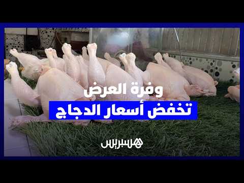 أسعار الدجاج بالعاصمة الرباط 