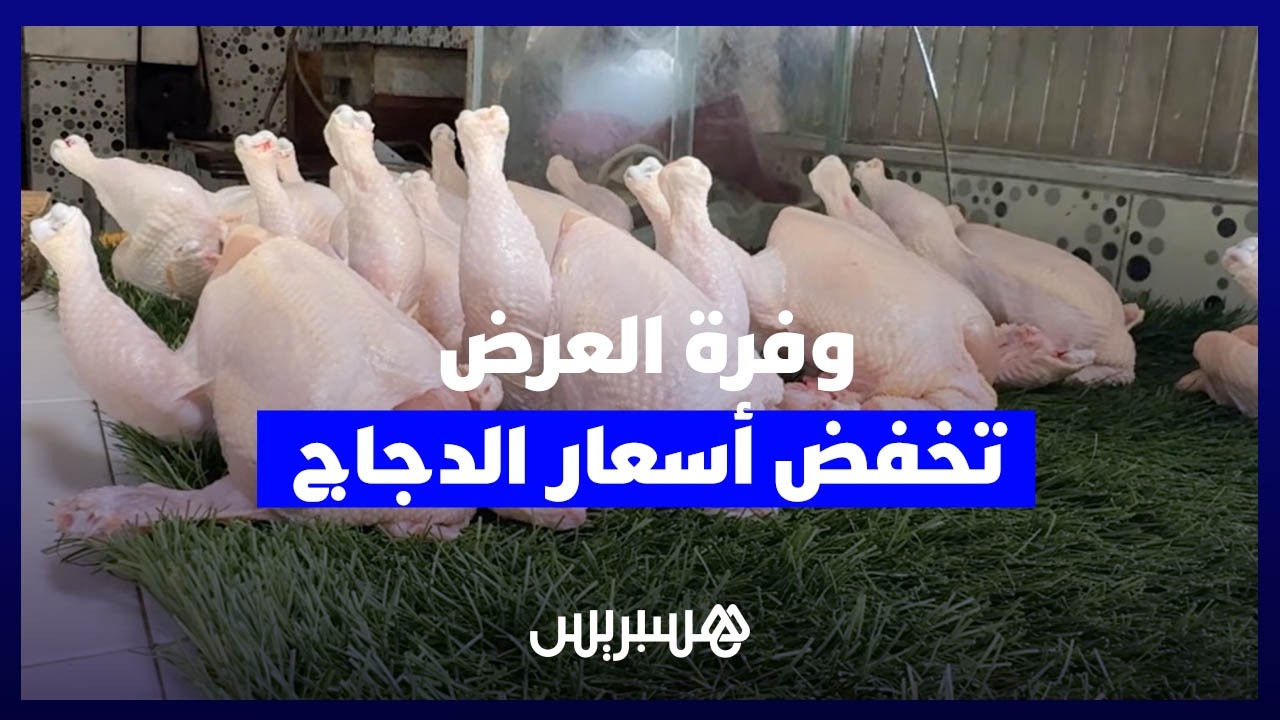 وفرة العرض تدفع أسعار الدجاج إلى التراجع بالعاصمة الرباط thumbnail