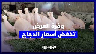 وفرة العرض تدفع أسعار الدجاج إلى التراجع بالعاصمة الرباط thumbnail