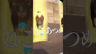 ねこだな来てもらおう / 遊んだゲーム記録