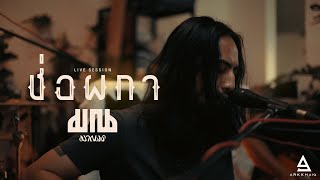 ช่อผกา มาณพ