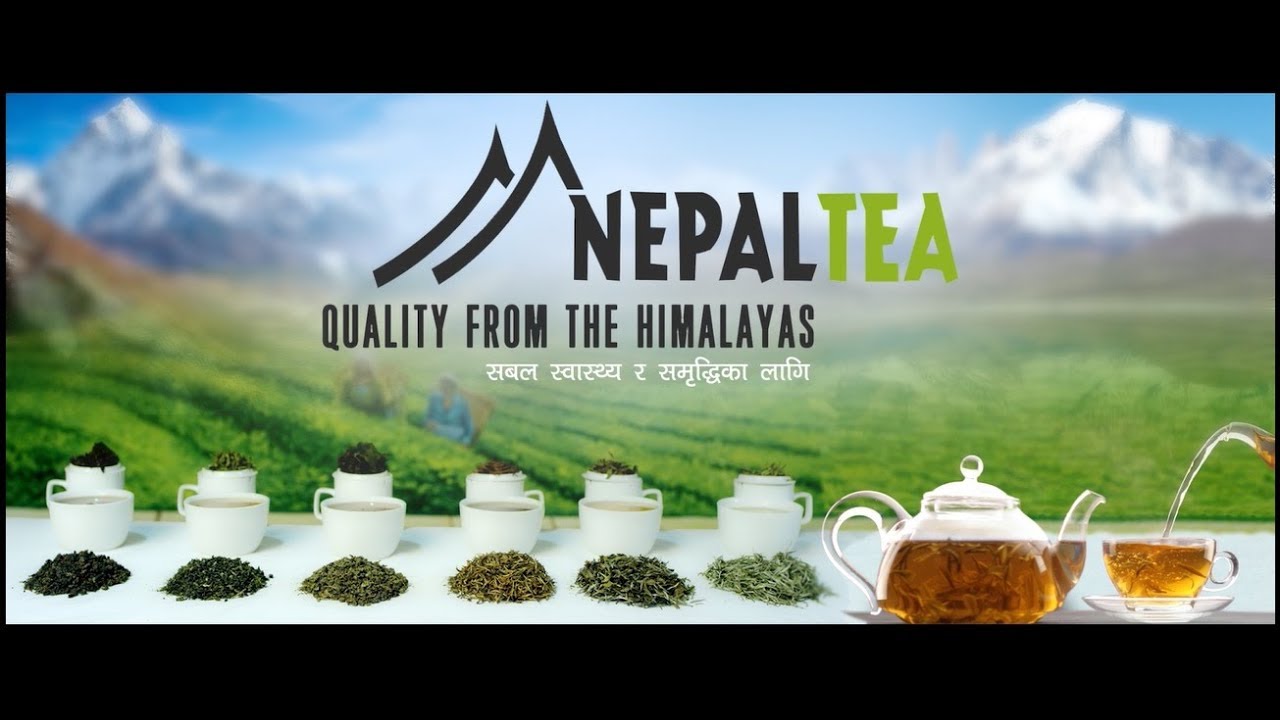 Nepal Tea Quality