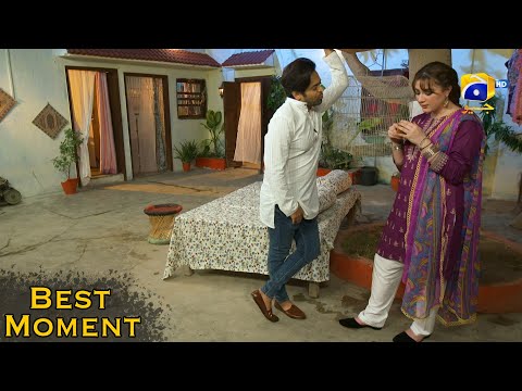 Grift Episode 31 || Ali Abbas - Saniya Shamshad || 𝐁𝐞𝐬𝐭 𝐌𝐨𝐦𝐞𝐧𝐭 𝟎𝟏 || Har Pal Geo