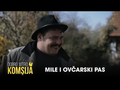 MILE I OVČARSKI PAS - DOBRO JUTRO, KOMŠIJA (SEZONA 2)