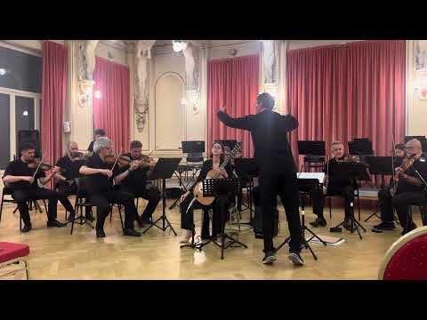 Concierto Elegiaco no. 3 - Leo Brower - Maria Ilinca Prigoană and I Musici di Parma orchestra